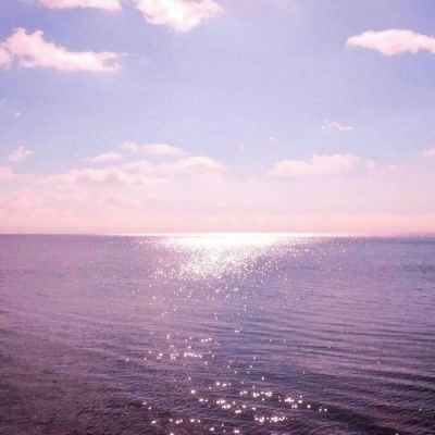 bet体育365官网正规手机app下载